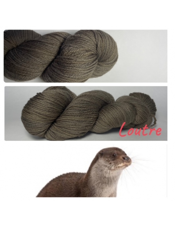 "Loutre" Fil DK 100% Mérinos