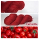 "Cerisette" Fil DK 100% Mérinos