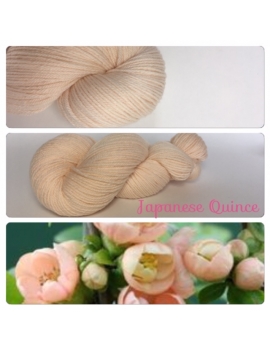 "Japanese Quince" Fil DK 100% Mérinos