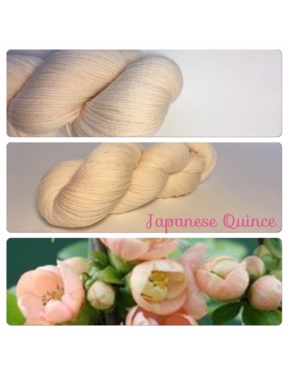 "Japanese Quince" Fil Fingering 100% Mérinos