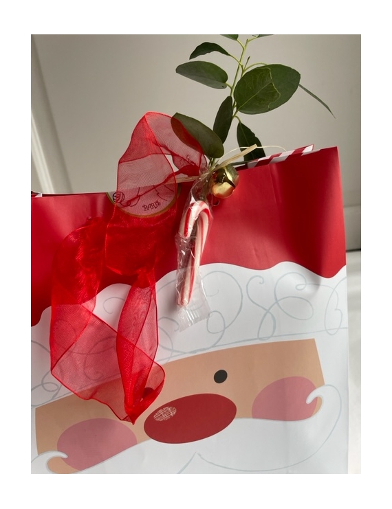 Christmas Bag rouge "le Pere Noel " Teinture 