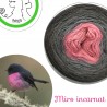"Miro Incarnat" Fil fingering Alpaga Soie Cachemire (gradient yarn cake)