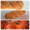 "Citrouille de Cendrillon" Single DK Baby Alpaga Tencel 