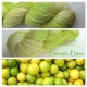 Fil fingering Alpaga & Soie "Lemon Lime"