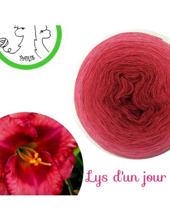 Fil Lace Mérinos et Soie (long gradient cake yarn) "Lys d'un Jour"