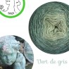 Fil Single Fingering Mérinos et Soie (long gradient yarn cake) "Vert de Gris"
