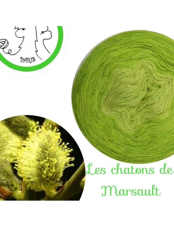 Fil Lace Mérinos et Soie (long gradient cake yarn) "Châtons de Marsault"