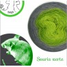 Fil Lace Mérinos et Soie (long gradient cake yarn) "Souris Verte"