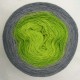 Fil Lace Mérinos et Soie (long gradient cake yarn) "Souris Verte"