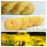 Fil fingering Alpaga & Soie "Champ de Pissenlit"