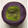 Fil fingering Alpaga (long gradient yarn cake) "Passiflore"