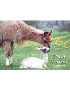 “INCA, le petit lama à colorier”