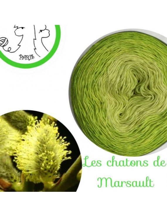 Fil Single Fingering Mérinos et Soie (long gradient yarn cake) "Les Châtons de Marsault"