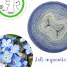 Fil fingering Alpaga Soie (long gradient yarn cake) "Joli Myosotis"
