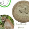 Fil fingering Alpaga Soie (long gradient yarn cake) "Panthère de Floride"
