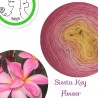 Fil fingering Alpaga Soie (long gradient yarn cake) "Siesta Key Flower"