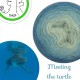Fil fingering Alpaga Soie (long gradient yarn cake) "Meeting the Turtle"
