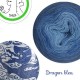 Fil fingering Alpaga Soie (long gradient yarn cake) "Dragon Bleu"
