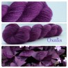 "Oxalis" Fil fingering 100 % Angora Français