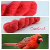 "Cardinal" Fil fingering 100 % Angora Français