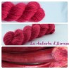 "La Rhubarbe d'Hermes" Fil fingering 100 % Angora Français