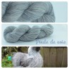 "Poule de Soie" Single fingering Alpaga Soie Angelina