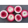 Fil fingering Alpaga (gradient yarn cake) "Poppy rose"