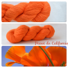 "Pavot de Californie" Single Fingering Merino Yarn