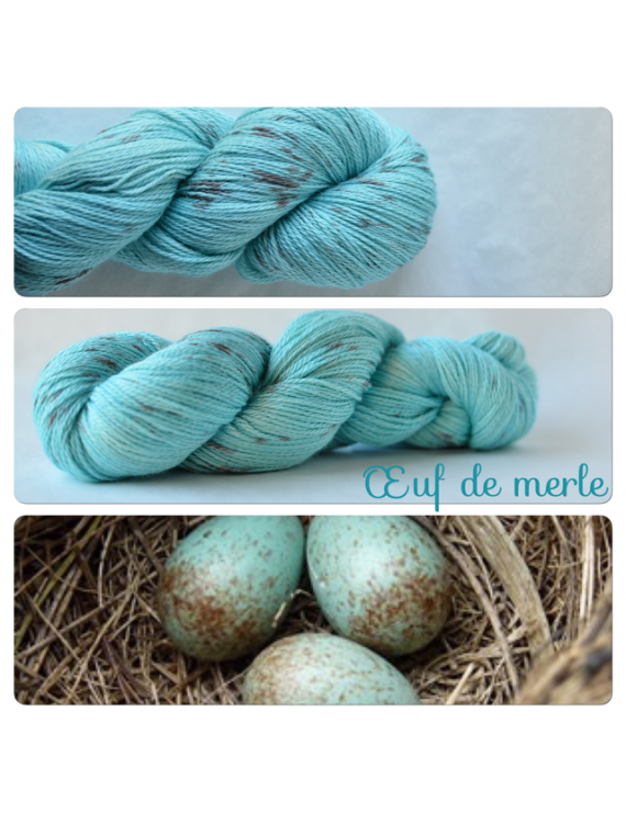 "Oeuf de Merle" fingering Alpaca & Silk Yarn