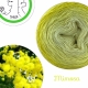 Mimosa Fil Single Fingering Merinos & silk (long gradient yarn cake)