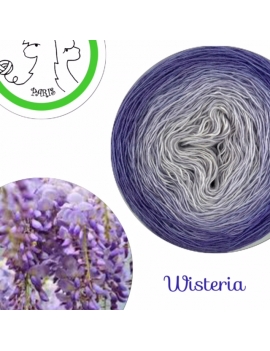  "Wisteria" Fil Single Fingering Mérinos et Soie (long gradient yarn cake)
