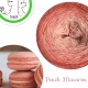 Peach Macaron Fil Single Fingering Mérinos & soie (long gradient yarn cake)