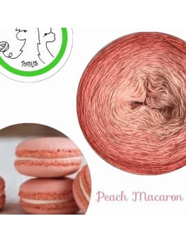 Peach Macaron Fil Single Fingering Mérinos & soie (long gradient yarn cake)
