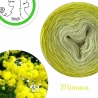 "Mimosa" Single Fingering Merino (long gradient yarn cake)