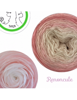 "Renoncule" Single Fingering Merino (long gradient yarn cake)