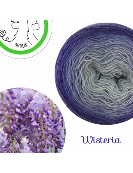 "Wisteria" Fil Single Fingering Mérinos (long gradient yarn cake)
