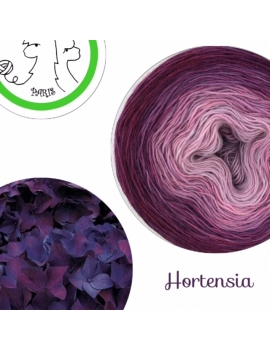"Hortensia" Fil Single Fingering Mérinos (long gradient yarn cake)