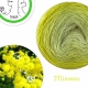 "Mimosa" Fil fingering Baby Alpaga et Soie (long gradient yarn cake)