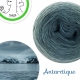 "Antarctique" Fil fingering Baby Alpaga et Soie (long gradient yarn cake)