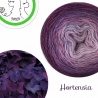 "Hortensia" Fil fingering Baby Alpaga et Soie (long gradient yarn cake)