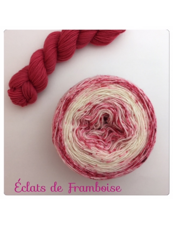"Eclats de Framboise" Double Gradient Sock Yarn Merino Alpaca & Nylon