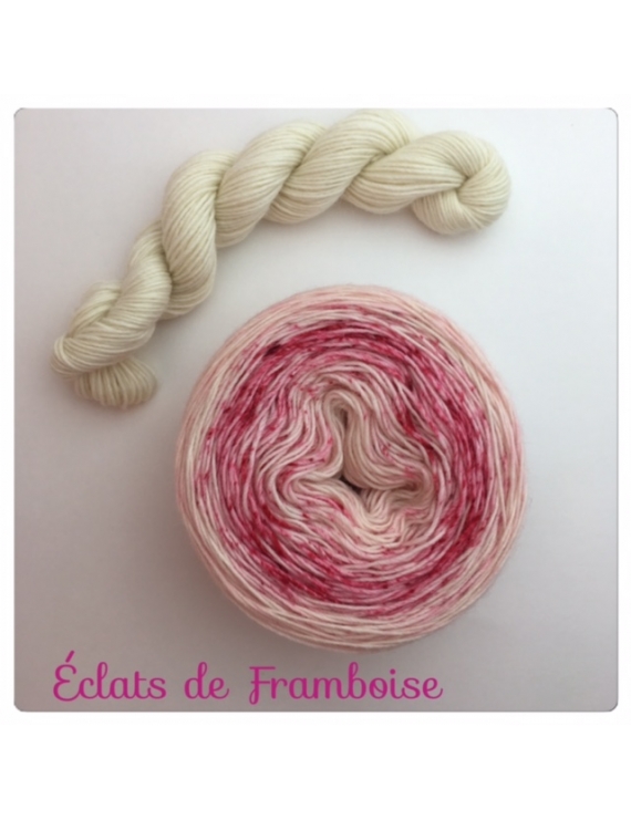 "Eclats de Framboise" Double Gradient Sock Yarn Merino Alpaca & Nylon