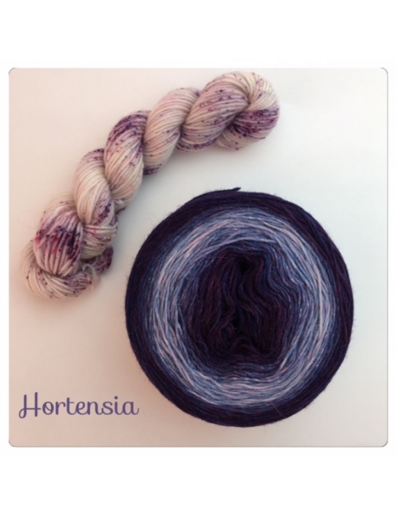 "Hortensia" Double Gradient Sock Yarn Merino Alpaca & Nylon