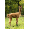 "Ourasi" Fil fingering Baby Alpaga