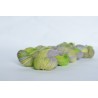 Lace Lopi Alpaga Tencel "Souris Verte"
