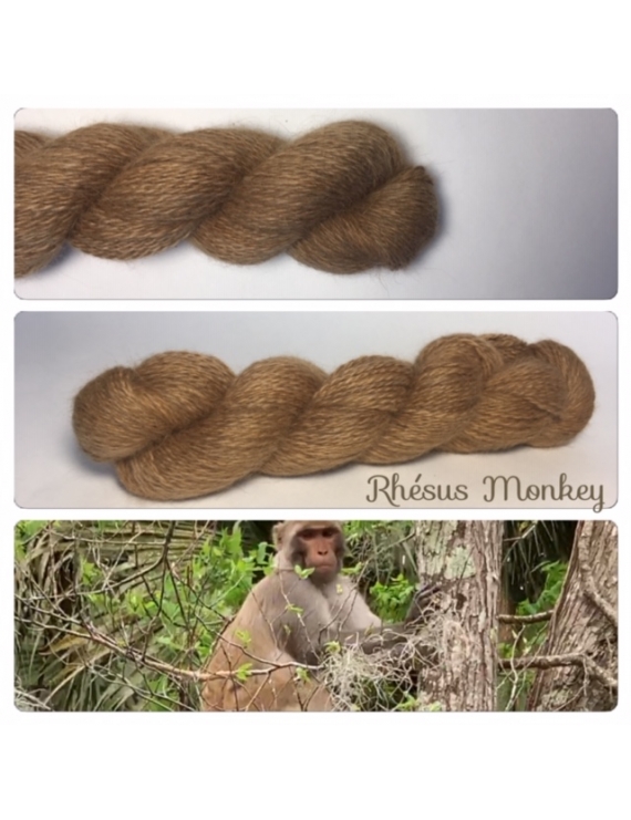 "Rhesus Monkey " Angora & Baby Alpaga Roux Moyen