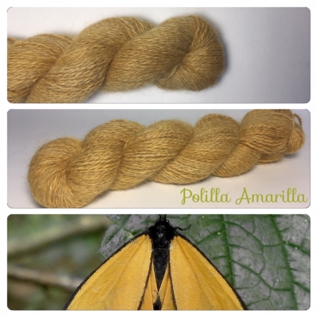Polilla Amarilla Angora Baby Alpaga Roux Moyen
