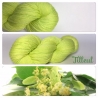 "Tilleul" Fil DK 100% Mérinos
