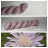 "Scabieuse" Fil Mérinos Alpaga & Nylon