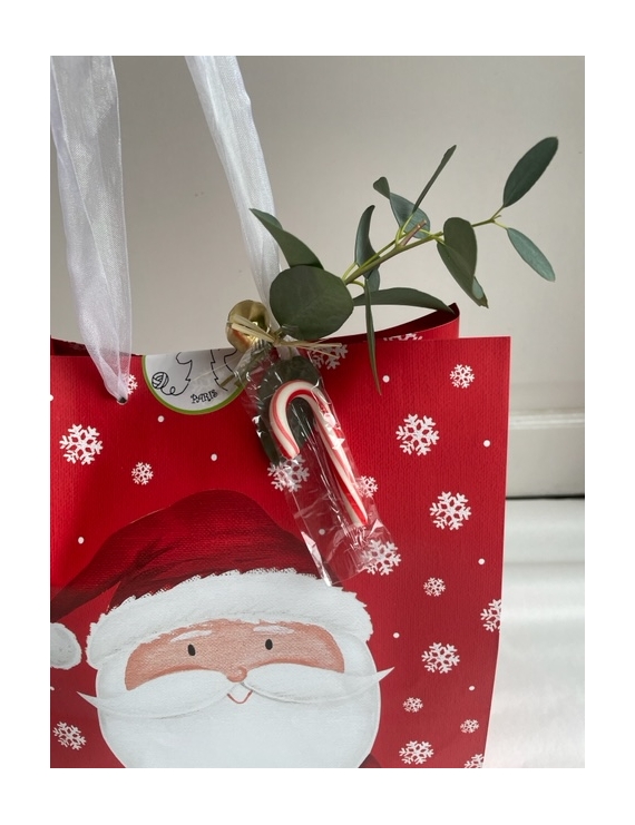 Christmas Bag rouge et Flocons "le Pere Noel " Teinture 